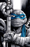 Teenage Mutant Ninja Turtles #132 Surprise Comics Exclusive cover by Eric Henson 9/7/22