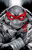 Teenage Mutant Ninja Turtles #106 Surprise Comics Exclusive cover by Eric Henson (7/15/20)